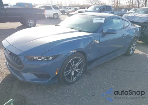 2025 Ford Mustang Ecoboost Fastback z USA, uszkodzony, nr VIN 1FA6P8TH6S5109161